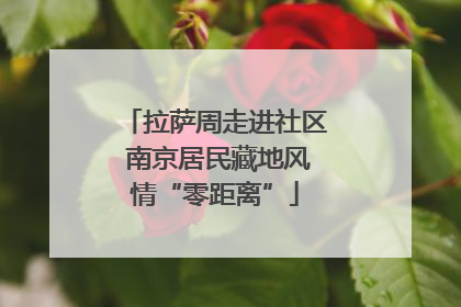 拉萨周走进社区 南京居民藏地风情“零距离”