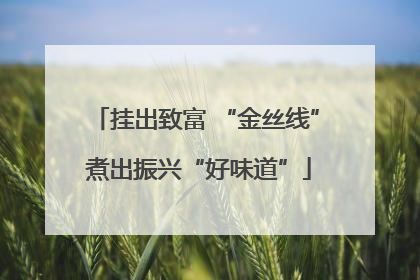 挂出致富 “金丝线” 煮出振兴“好味道”