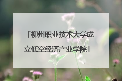 柳州职业技术大学成立低空经济产业学院