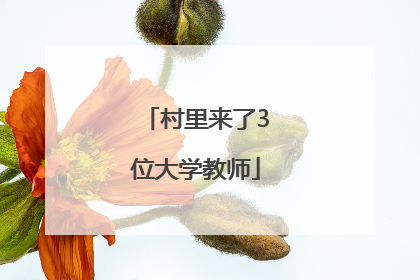 村里来了3位大学教师