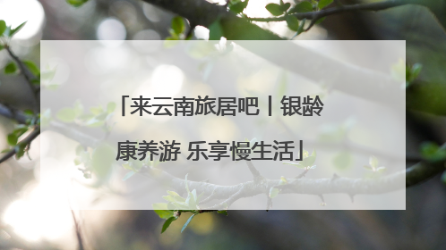 来云南旅居吧丨银龄康养游 乐享慢生活