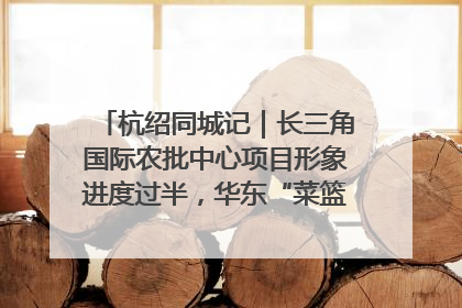 杭绍同城记｜长三角国际农批中心项目形象进度过半，华东“菜篮子”建设加码提速！