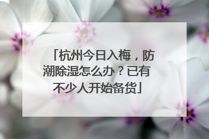 杭州今日入梅，防潮除湿怎么办？已有不少人开始备货
