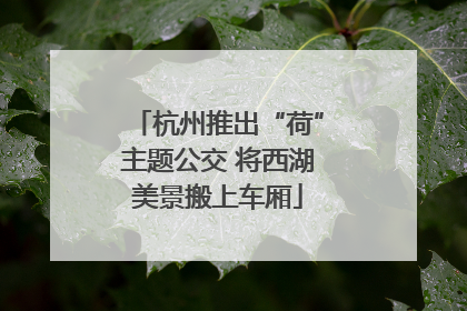 杭州推出“荷”主题公交 将西湖美景搬上车厢