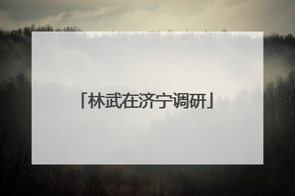 林武在济宁调研