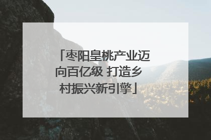 枣阳皇桃产业迈向百亿级 打造乡村振兴新引擎