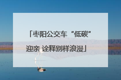 枣阳公交车“低碳”迎亲 诠释别样浪漫