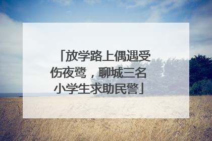 放学路上偶遇受伤夜鹭，聊城三名小学生求助民警