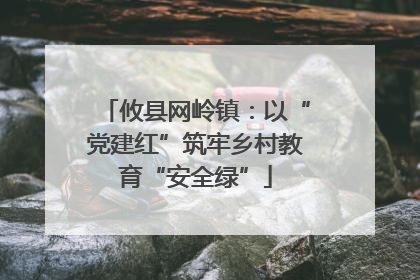 攸县网岭镇：以“党建红”筑牢乡村教育“安全绿”