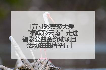 方寸彩票聚大爱 “福暖彩云南”走进福彩公益金资助项目活动在曲靖举行