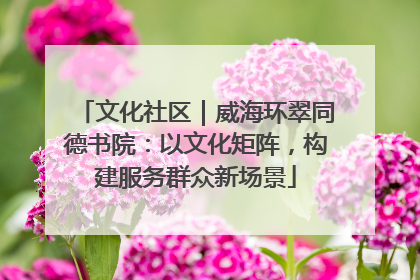 文化社区｜威海环翠同德书院：以文化矩阵，构建服务群众新场景