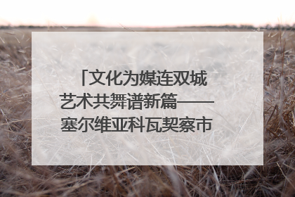 文化为媒连双城 艺术共舞谱新篇——塞尔维亚科瓦契察市代表团访问日照