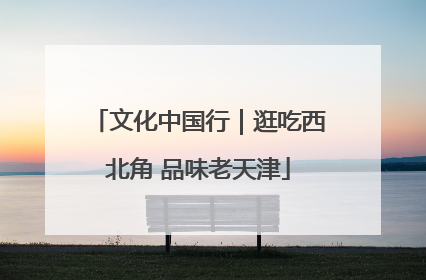 文化中国行｜逛吃西北角 品味老天津