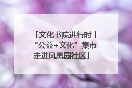 文化书院进行时丨“公益+文化”集市走进凤凰园社区
