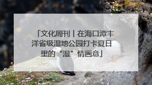 文化周刊丨在海口潭丰洋省级湿地公园打卡夏日里的“湿”情画意