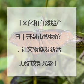 文化和自然遗产日｜开封市博物馆：让文物焕发新活力绽放新光彩