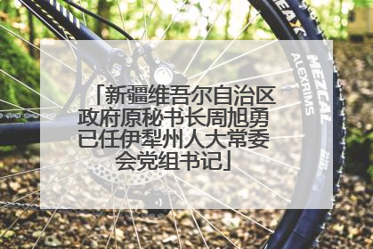 新疆维吾尔自治区政府原秘书长周旭勇已任伊犁州人大常委会党组书记