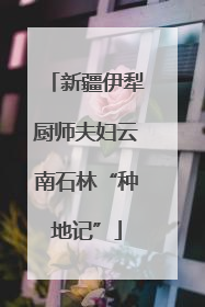 新疆伊犁厨师夫妇云南石林“种地记”