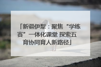 新疆伊犁：聚焦“学练赛”一体化课堂 探索五育协同育人新路径