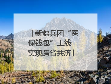 新疆兵团“医保钱包”上线 实现跨省共济