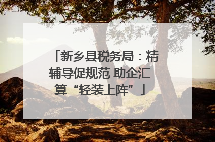 新乡县税务局：精辅导促规范 助企汇算“轻装上阵”