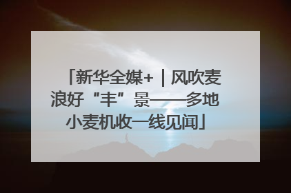 新华全媒+｜风吹麦浪好“丰”景——多地小麦机收一线见闻