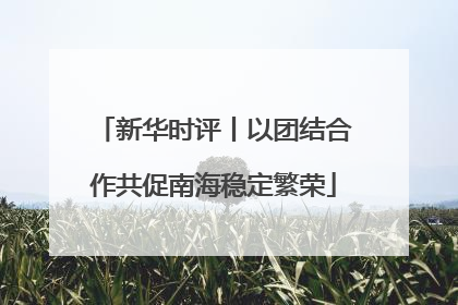 新华时评丨以团结合作共促南海稳定繁荣