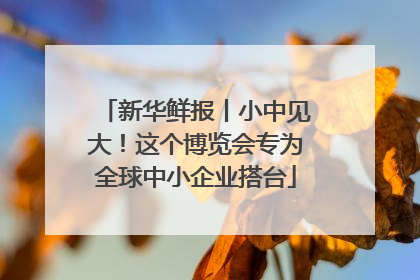 新华鲜报丨小中见大！这个博览会专为全球中小企业搭台