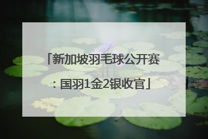 新加坡羽毛球公开赛：国羽1金2银收官
