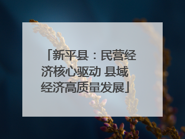 新平县：民营经济核心驱动 县域经济高质量发展