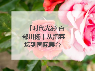 时代光影 百部川扬｜从泡菜坛到国际展台 探秘荣县土陶的“破圈”之路