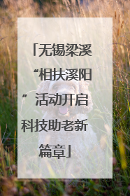 无锡梁溪“相扶溪阳”活动开启科技助老新篇章