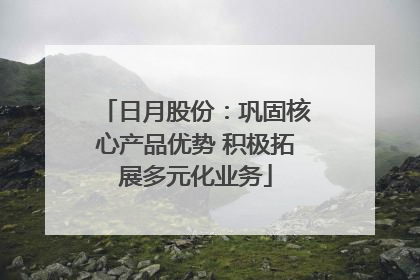 日月股份：巩固核心产品优势 积极拓展多元化业务