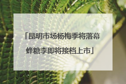 昆明市场杨梅季将落幕 蜂糖李即将接档上市