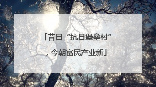 昔日“抗日堡垒村”，今朝富民产业新