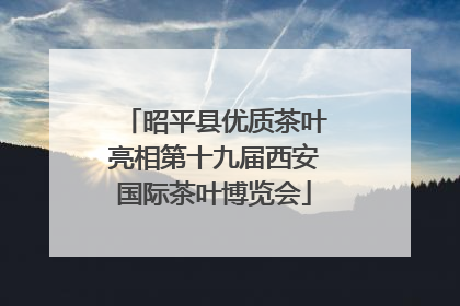 昭平县优质茶叶亮相第十九届西安国际茶叶博览会