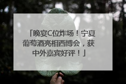 晚宴C位炸场！宁夏葡萄酒亮相西博会，获中外嘉宾好评！