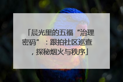 晨光里的五福“治理密码”：跟拍社区巡查，探秘烟火与秩序