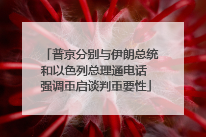 普京分别与伊朗总统和以色列总理通电话 强调重启谈判重要性