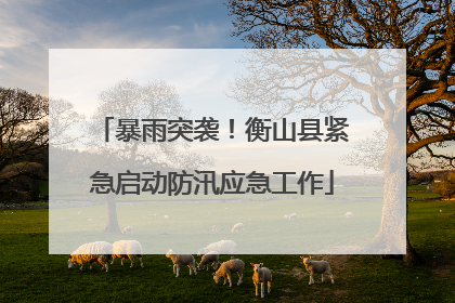 暴雨突袭！衡山县紧急启动防汛应急工作