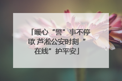 暖心“警”事不停歇 芦淞公安时刻“在线”护平安
