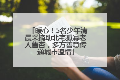 暖心！5名少年清晨采摘助北宅孤寡老人售杏，多方善意传递城市温情