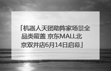 机器人天团助阵家场景全品类覆盖 京东MALL北京双井店6月14日启幕