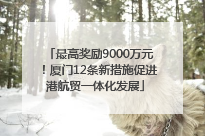 最高奖励9000万元！厦门12条新措施促进港航贸一体化发展
