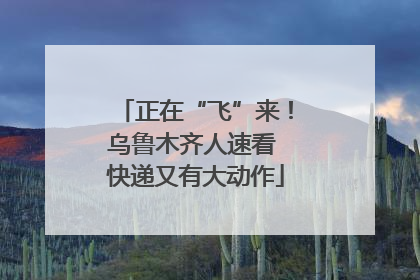 正在“飞”来！乌鲁木齐人速看 快递又有大动作