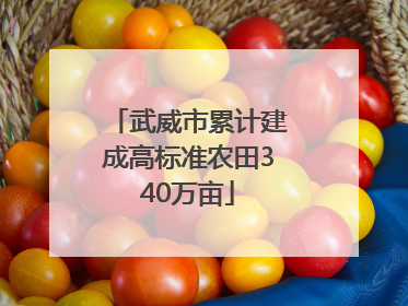 武威市累计建成高标准农田340万亩