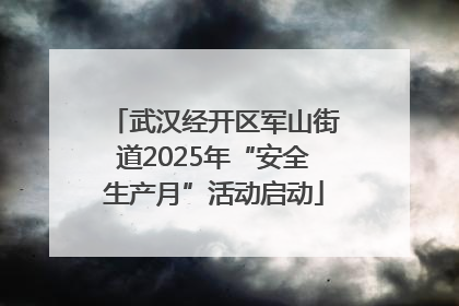武汉经开区军山街道2025年“安全生产月”活动启动