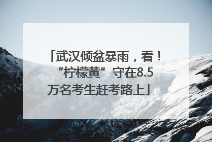 武汉倾盆暴雨，看！“柠檬黄”守在8.5万名考生赶考路上