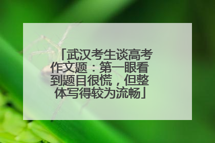 武汉考生谈高考作文题：第一眼看到题目很慌，但整体写得较为流畅