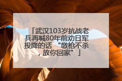武汉103岁抗战老兵再喊80年前劝日军投降的话 “缴枪不杀，放你回家”